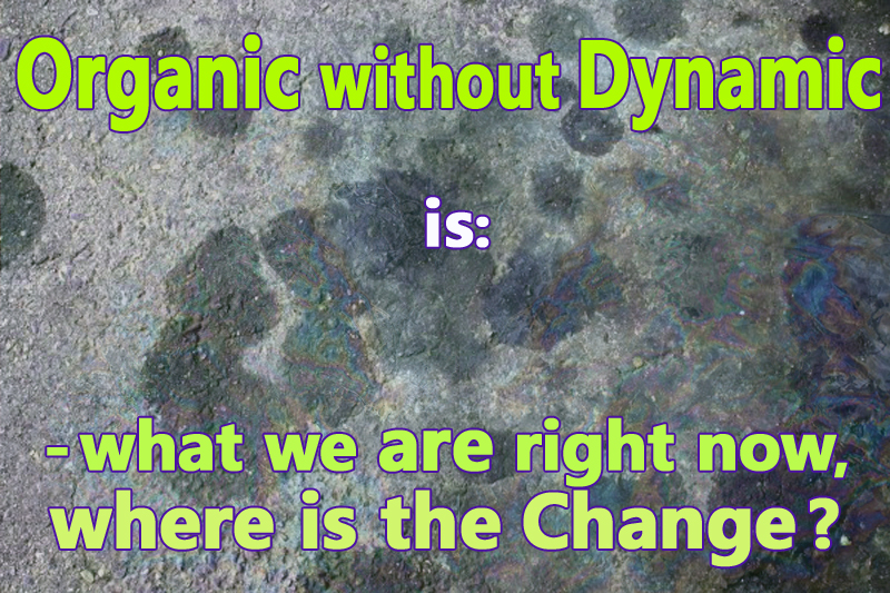 Image Result For Dynamic Definitiona Image Result For Dynamic Definitiona