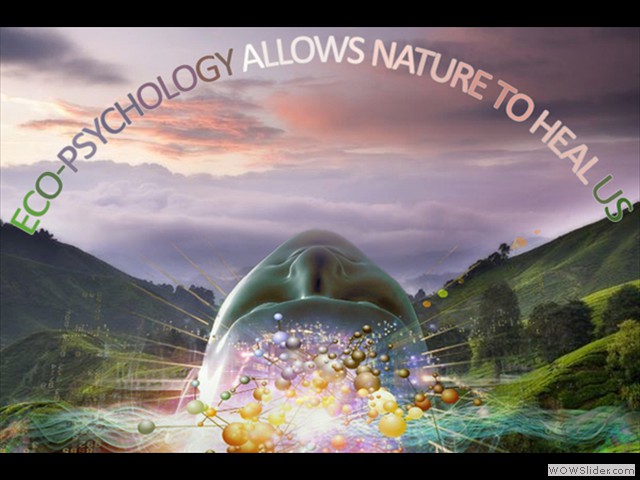Image Result For Dynamic Definitiona Image Result For Dynamic Definitiona
